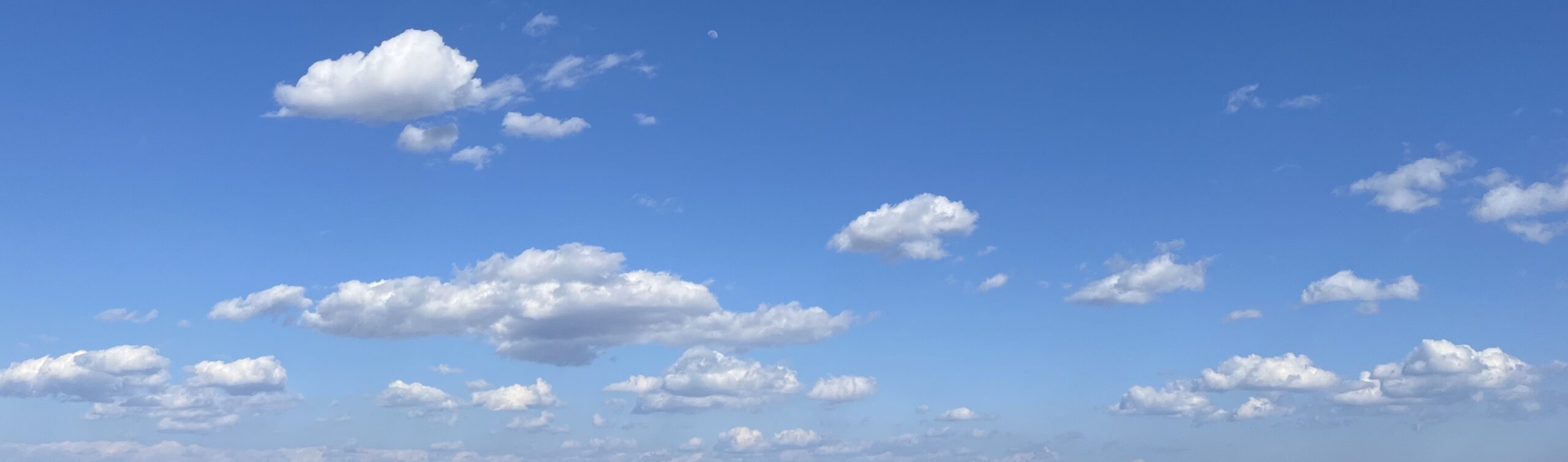 ミネルヴァプラセンタ⭐️年齢肌の変化はできるだけ緩やかに！🙂インナーケア｜スキンケア｜プラセンタエキス｜